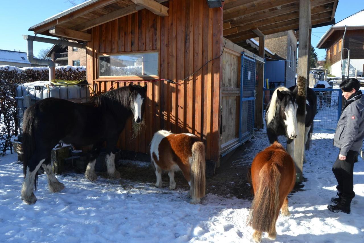 Ferien Bei Freunden Im Holzhaus Apartment Monschau Exterior foto